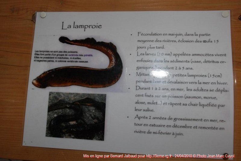 Gens de Garonne (61).JPG